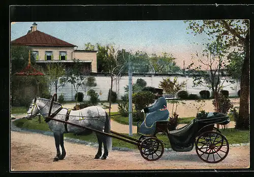 AK Russische Typen, Mann in Uniform auf seiner Pferdekutsche