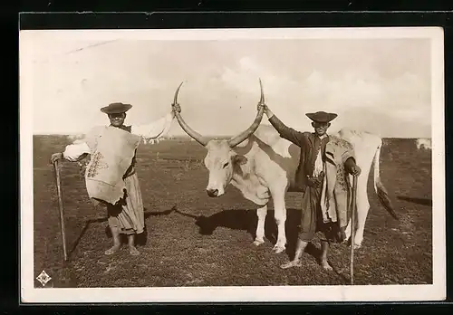 AK Leben auf der Haide Hortobágy: Die Zierde der Herde, ungarische Viehhirten in volktümlicher Kleidung