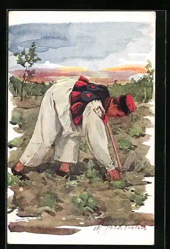 AK Bauer in slowakischer Tracht bestellt das Feld