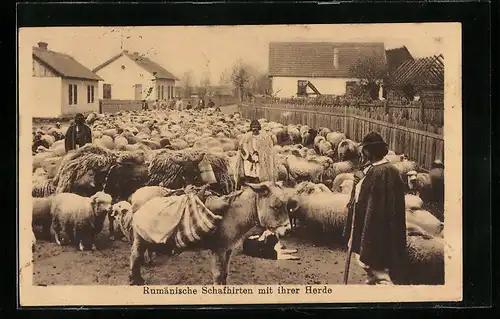 AK Rumänische Schafhirten mit ihrer Herde