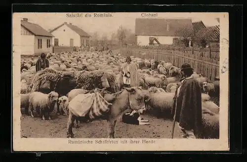 AK Rumänische Hirten mit Schafherde