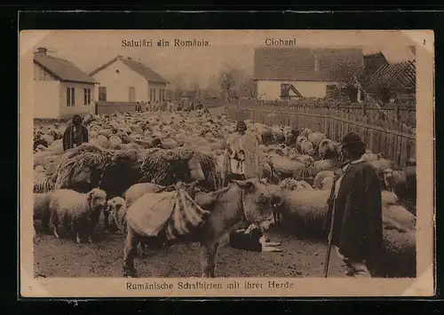 AK Rumänische Schafhirten mit Herde in einem Dorf