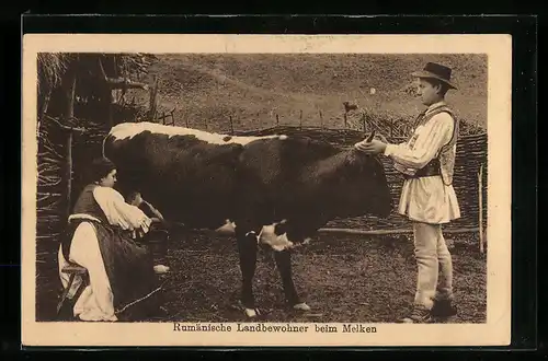 AK Romänische Landbewohner beim Melken, Bauern mit Kuh