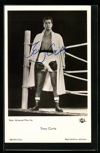 AK Schauspieler Tony Curtis als Boxer, Original Autograph