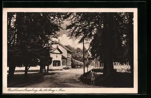 AK Stolberg a. Harz, am Gasthaus Auerberg