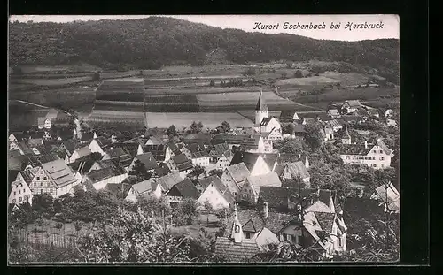 AK Eschenbach bei Hersbruck, Generalansicht der Stadt
