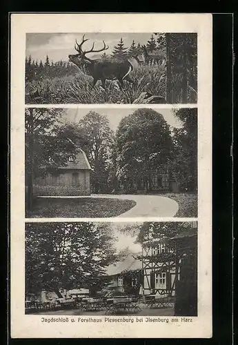 AK Plessenburg bei Ilsenburg, Jagdschloss und Forsthaus