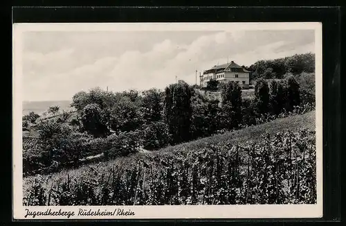 AK Rüdesheim am Rhein, auf dem Feld neben der Jugendherberge