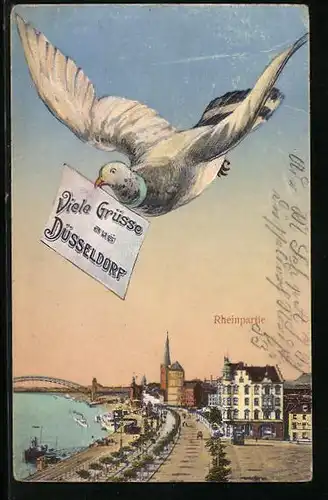 AK Düsseldorf, Rheinpartie mit Promenade und Brieftaube