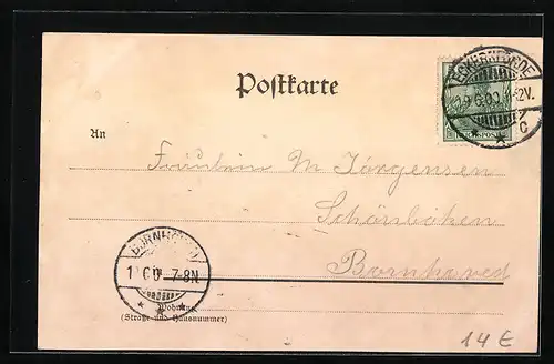 AK Eckernförde, das Kaiser Wilhelm-Denkmal mit Knabenschule