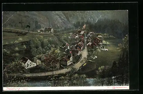 AK Treseburg im Harz, Generalansicht der Ortschaft