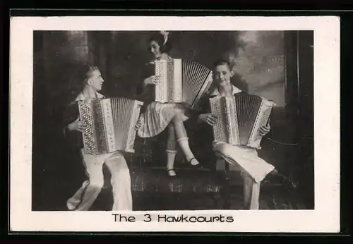 AK Musiker, The 3 Hawkcourts