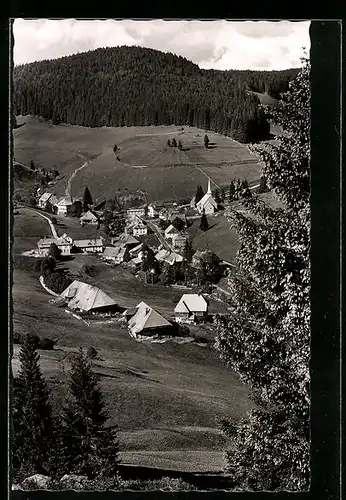 AK Muggenbrunn /Schwarzwald, Totalansicht von einem Berg aus gesehen