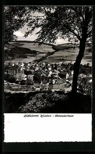 AK Züschen /Hochsauerland, Totalansicht von einem Berg aus gesehen