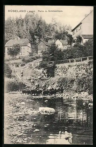 AK Rübeland im Harz, Partie mit Schützenhaus