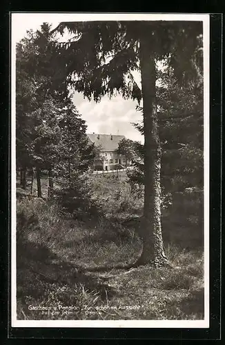 AK Tromm im Odenwald, Gasthaus und Pension Zur schönen Aussicht