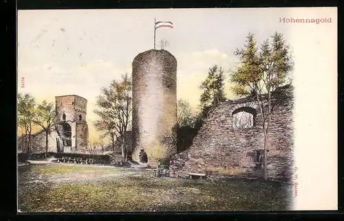 AK Nagold, Burgruine Hohennagold