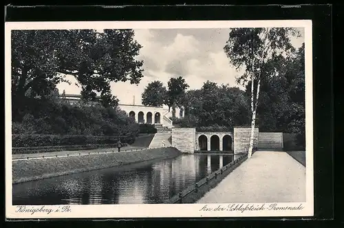 AK Königsberg, Partie an der Schlossteich-Promenade