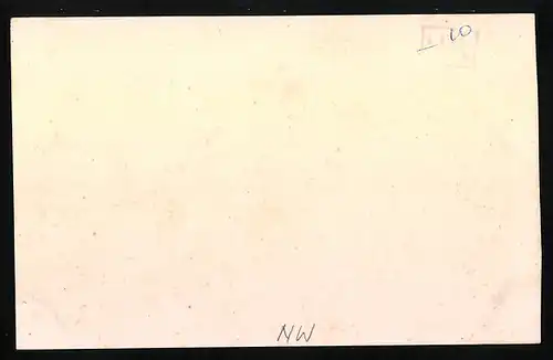 Foto-AK Bergen, Panoramaansicht der Stadt