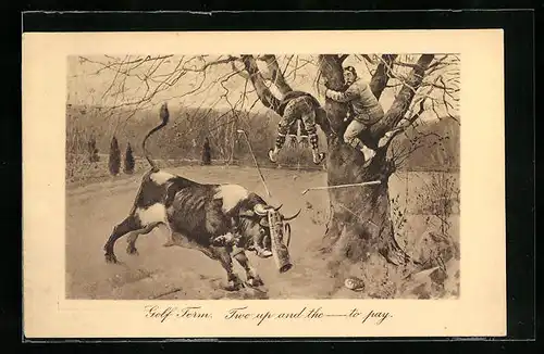 AK Two up in the tree