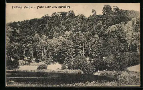 AK Feldberg / Mecklb., Partie unter dem Reiherberg