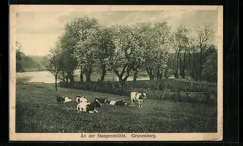 AK Gronenberg, Partie an der Stangenmühle