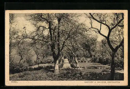 AK Süsel, Gasthof A. Wilhelm, Obstgarten