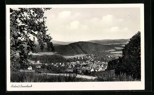 AK Balve / Sauerland, Gesamtansicht