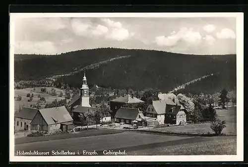 AK Schellerhau / Erzgeb., Ortspartie mit Gebirgshof