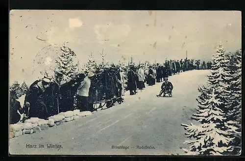 AK Braunlage / Harz, Rodelbahn