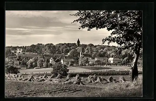 AK Hummelshain / Thür., Ortsansicht mit Kirche