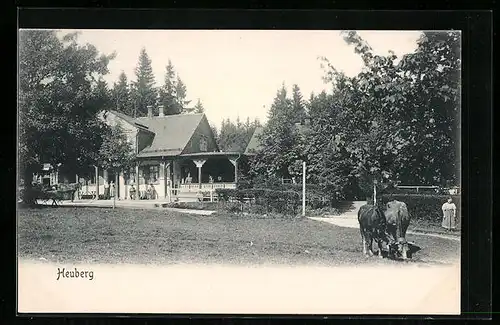 AK Friedrichroda, Gasthaus Heuberg