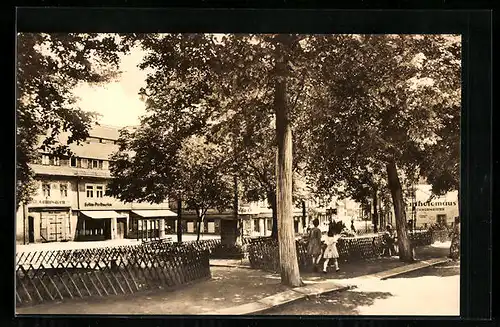 AK Olbernhau / Erzgeb., Markt