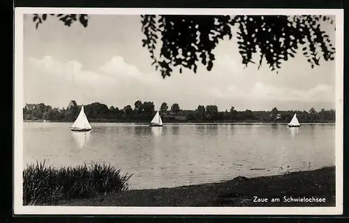 AK Zaue / Schwielochsee, Seepartie mit Segelbooten