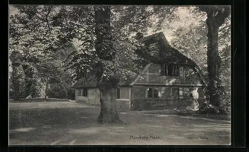 AK Hamburg-Horn, Rauhes Haus