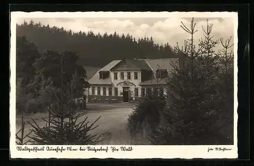 AK Stützerbach / Thür. Wald, Gasthaus Auerhahn