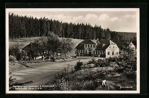 AK Stützerbach / Thür. Wald, Waldgasthaus Auerhahn