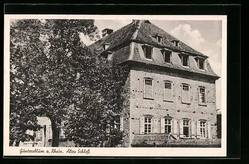AK Guntersblum am Rhein, vor dem alten Schloss