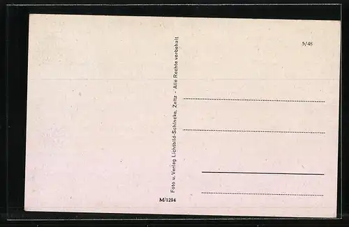 AK Zeitz, am Schwanenteich