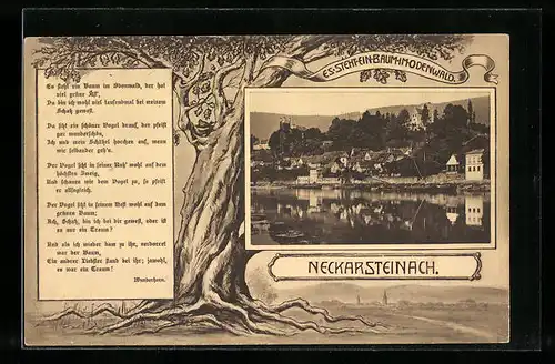 AK Neckarsteinach, Blick übers Wasser auf den Ort