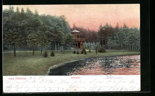 AK Bad Oldesloe, Blick vom Salzteich