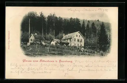 AK Silberborn /Harzburg, Haus in idyllischer Landschaft