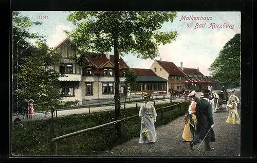 AK Molkenhaus b. Bad Harzburg, Strassenpartie im Ort