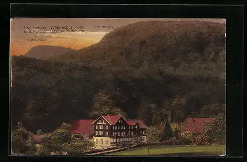 AK Steinbergen /Wesergebirge, Wolbrecht`s Hotel u. Pension, Bes. A. Bethmann