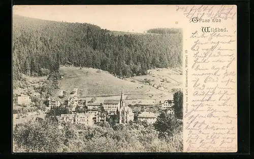 AK Wildbad, Totalansicht von einem Berg aus gesehen
