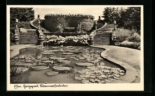 AK Essen, Gruga-Park, Warmwasserbecken