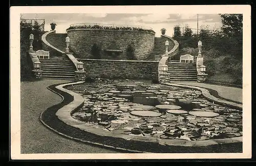 AK Essen, Grosse Ruhrländische Gartenbau-Ausstellung Gruga 1929, Staudenlichtung, Victoria-Regia-Becken