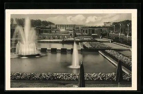 AK Essen, Grosse Ruhrländische Gartenbau-Ausstellung Gruga 1929, Wasserterrassen und Rosenanlage