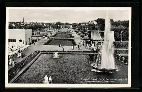 AK Essen, Gruga-Park, Springbrunnen und Sommerblumen-Terrassen