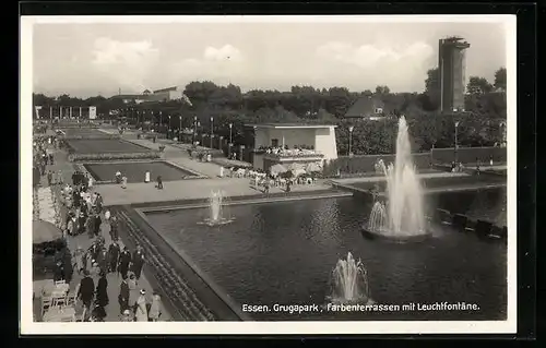 AK Essen, Grugapark, Farbenterrassen mit Leuchtfontäne